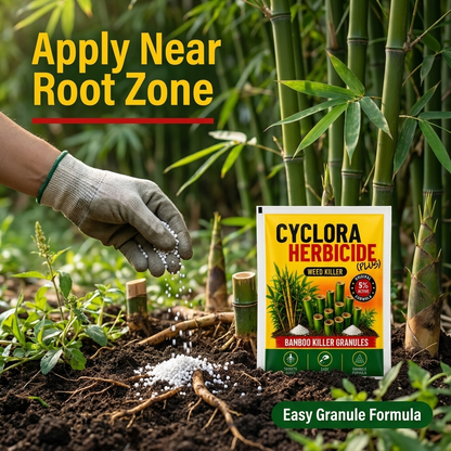 Bamboo and weed Control