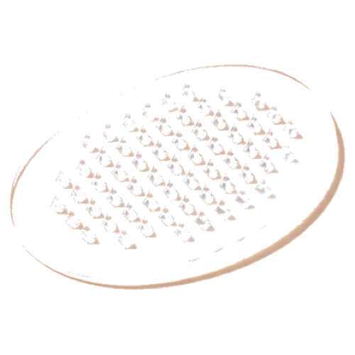 Microneedle Layer